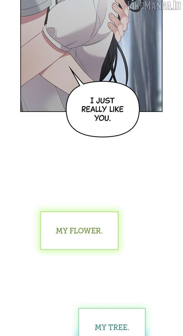 Oh, the Flower That Bloomed on the Wall Chapter 52 265 03