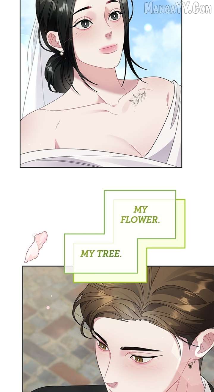 Oh, the Flower That Bloomed on the Wall Chapter 57 347 79