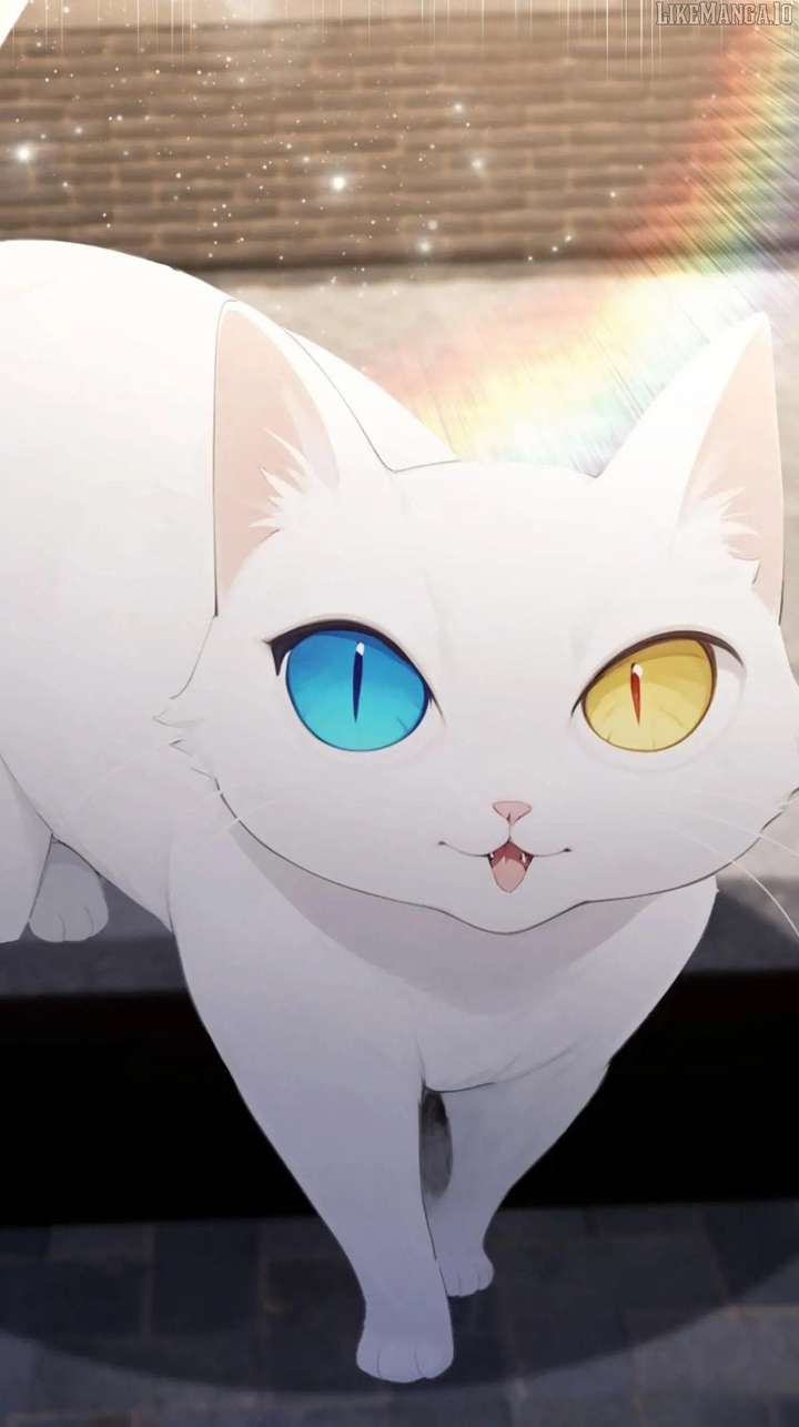 Outrageous! I opened a training class for empresses Chapter 87 246 17