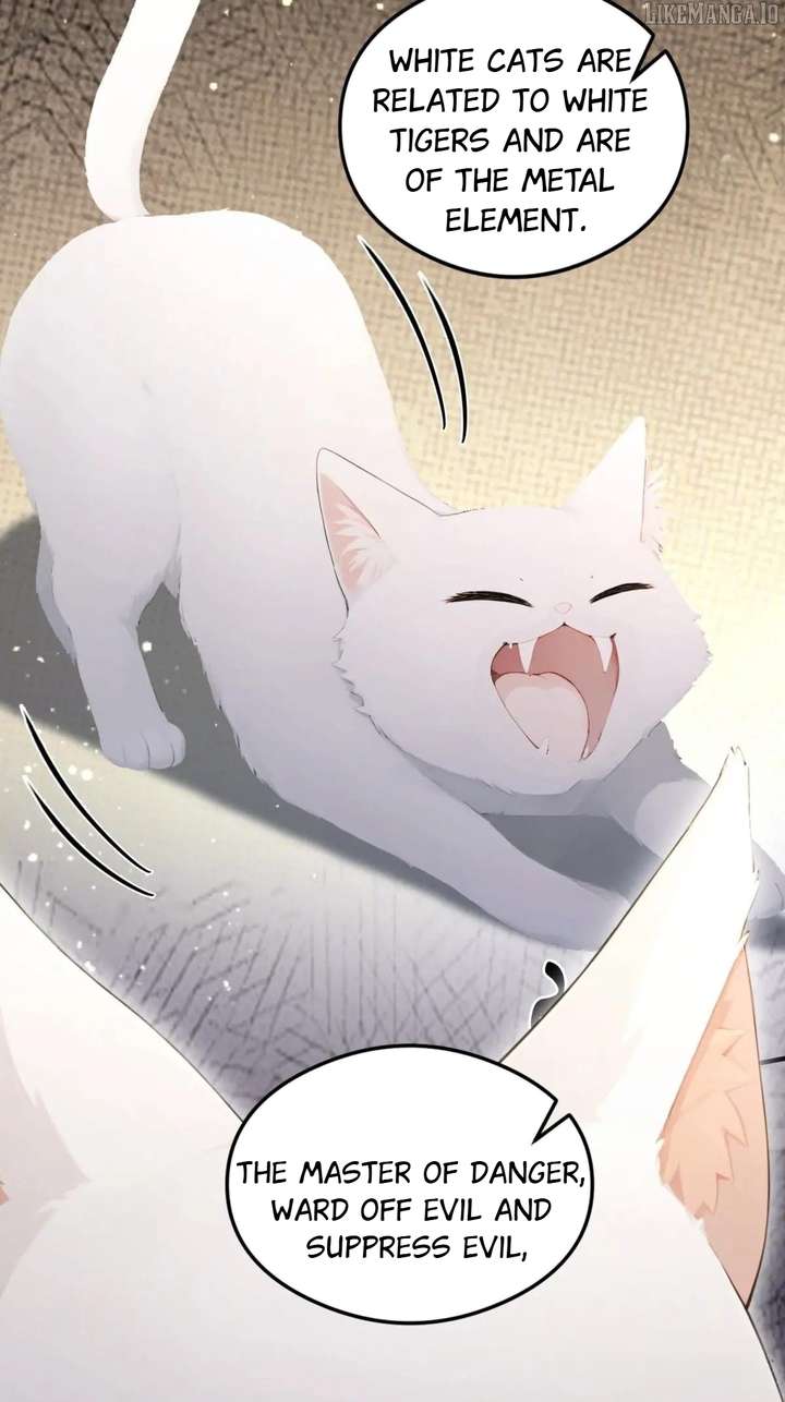 Outrageous! I opened a training class for empresses Chapter 87 248 19