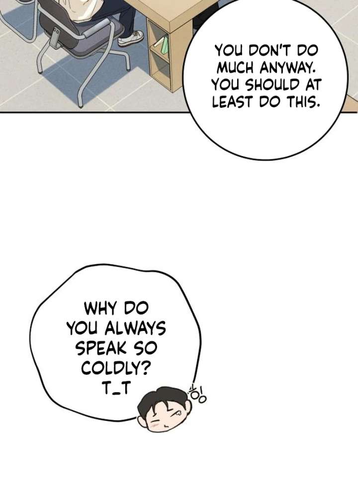 Perfection is Everything Chapter 12 488 049