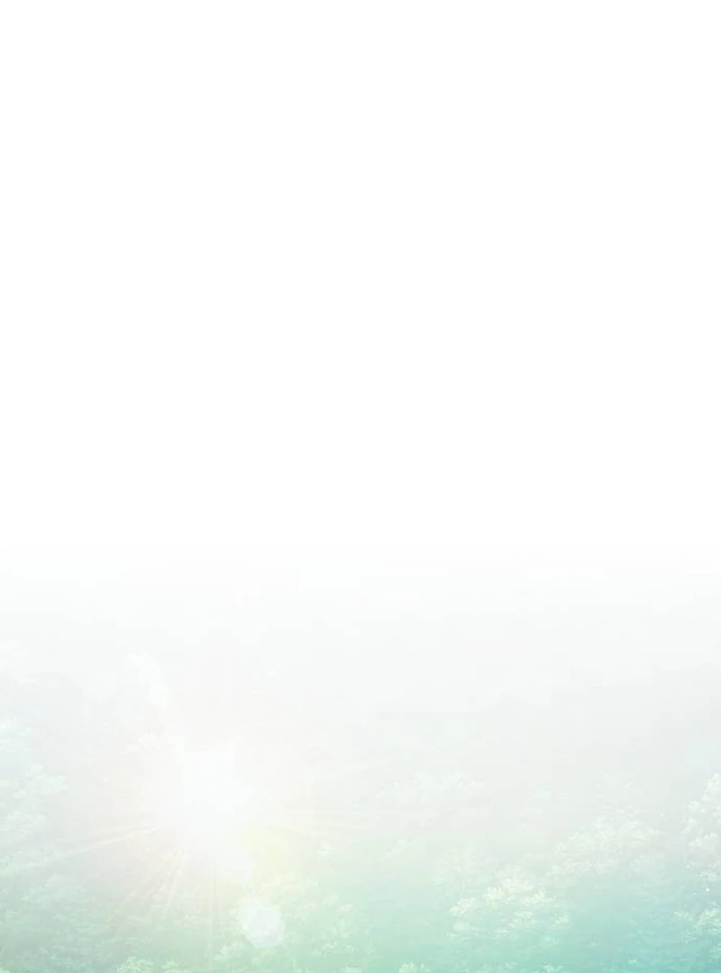 Perfection is Everything Chapter 7 504 041