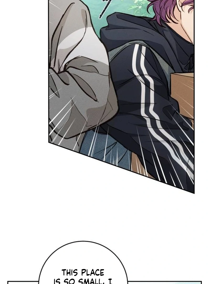 Perfection is Everything Chapter 7 527 064