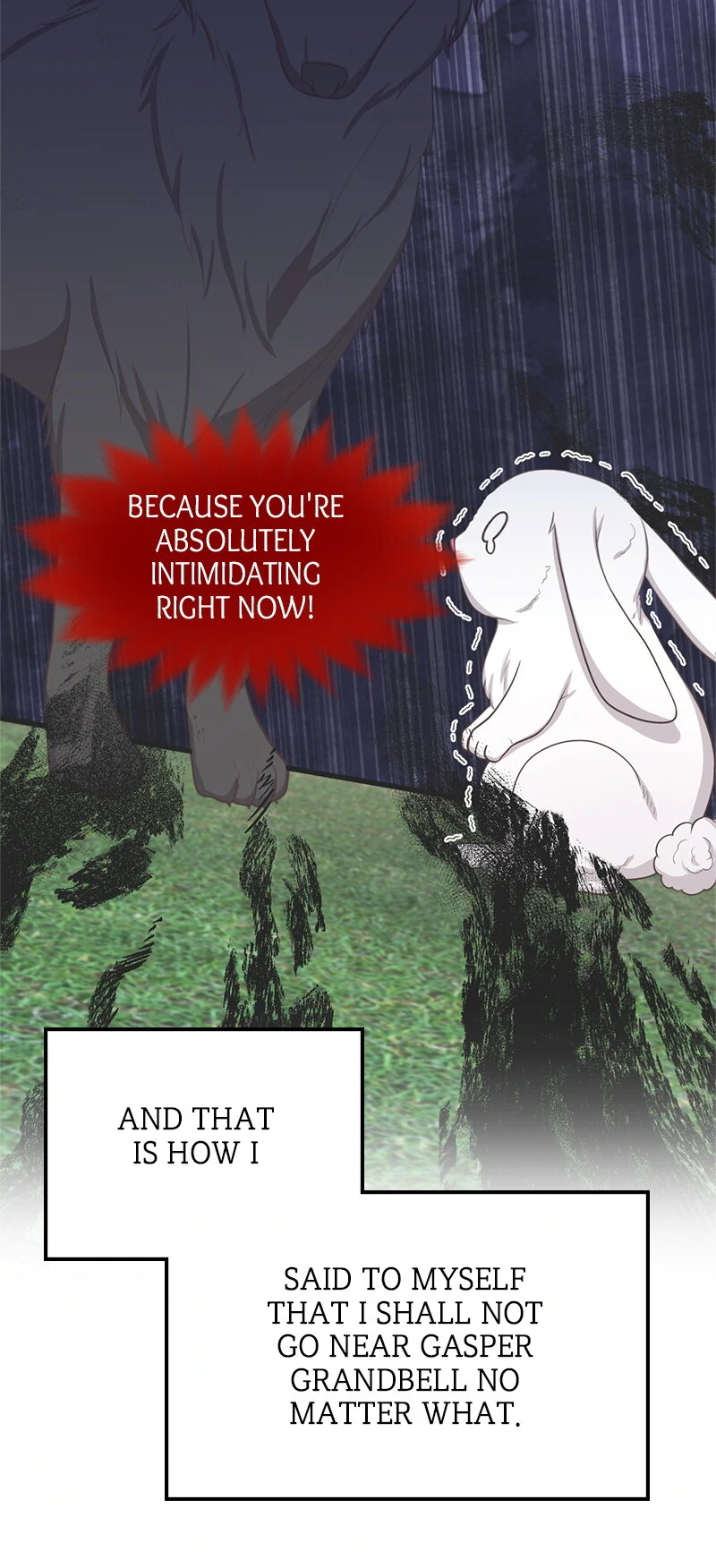 41