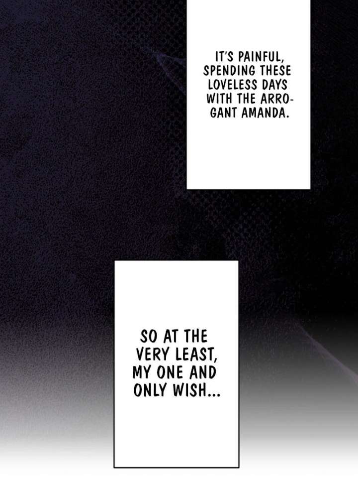 Princess Sveta’s Political Marriage Chapter 47 325 42