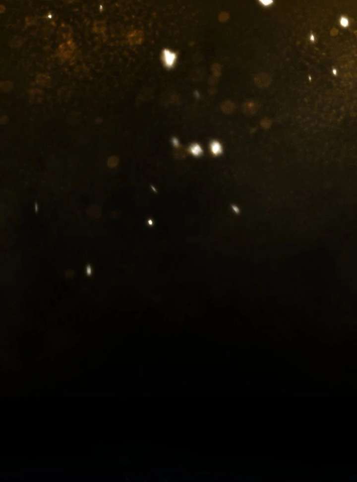 Reincarnated as the Strongest Monster Eater: Revenge on the Tyrant Dragon Chapter 14 588 122