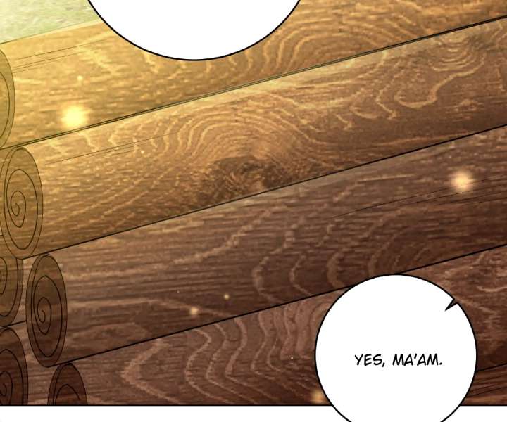 Reincarnated As the Villain Queen to Get My Revenge Chapter 31 387 023