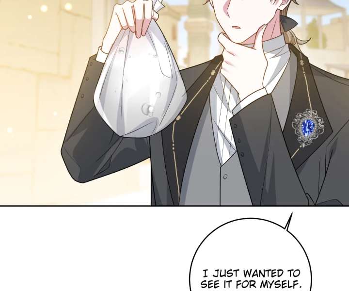 Reincarnated As the Villain Queen to Get My Revenge Chapter 32 446 079