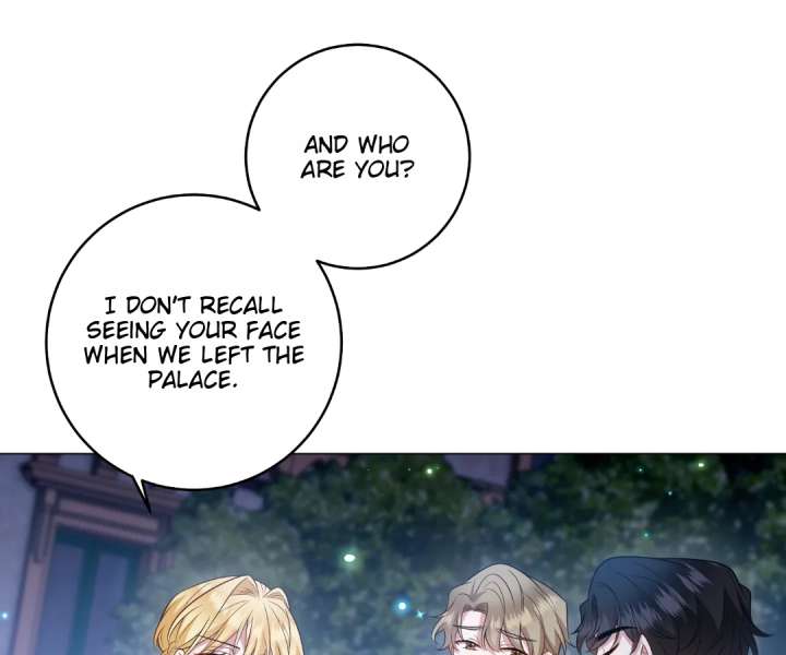 Reincarnated As the Villain Queen to Get My Revenge Chapter 50 325 48