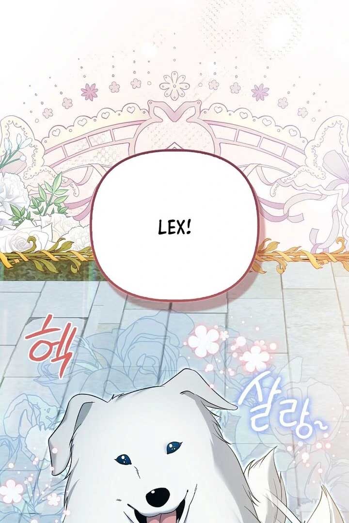 Rejecting The Perfect Marriage Chapter 2 497 064