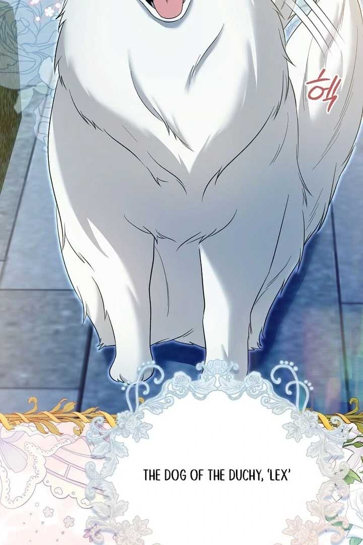 Rejecting The Perfect Marriage Chapter 2 498 065