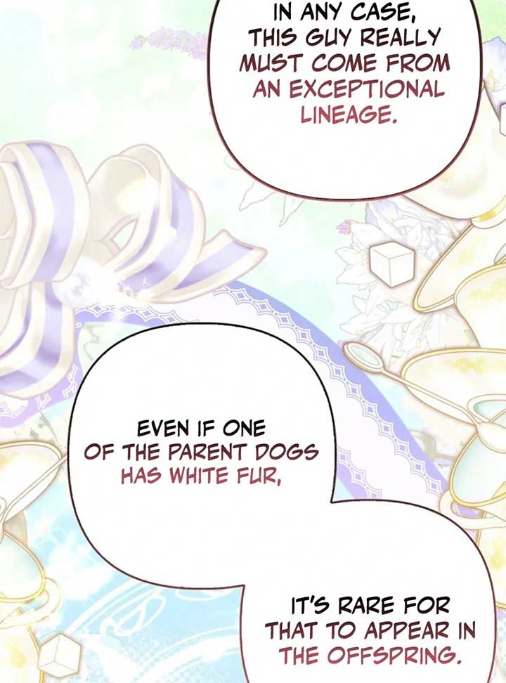 Rejecting The Perfect Marriage Chapter 34 493 ch 34 60