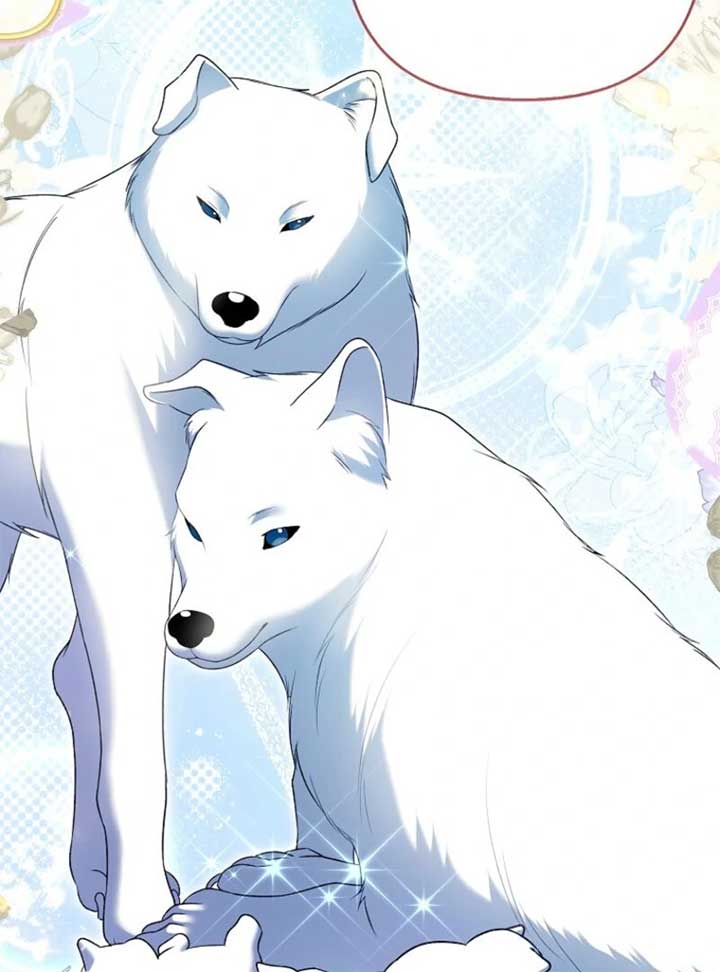 Rejecting The Perfect Marriage Chapter 34 494 ch 34 61