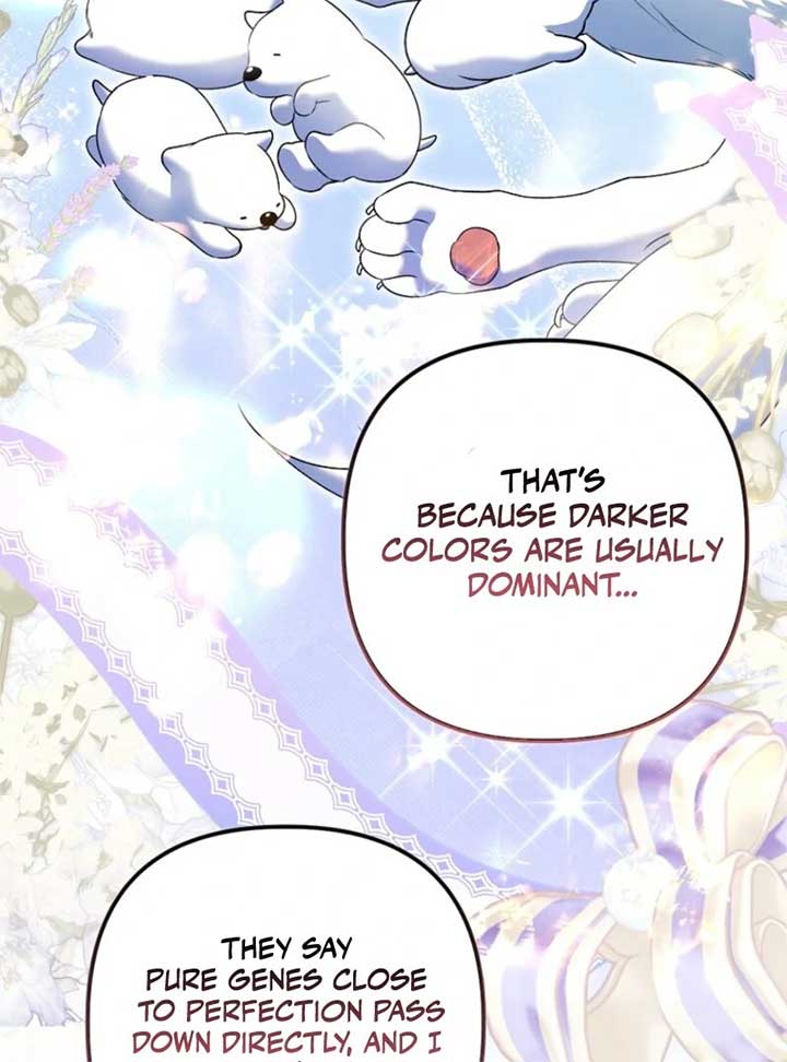 Rejecting The Perfect Marriage Chapter 34 495 ch 34 62