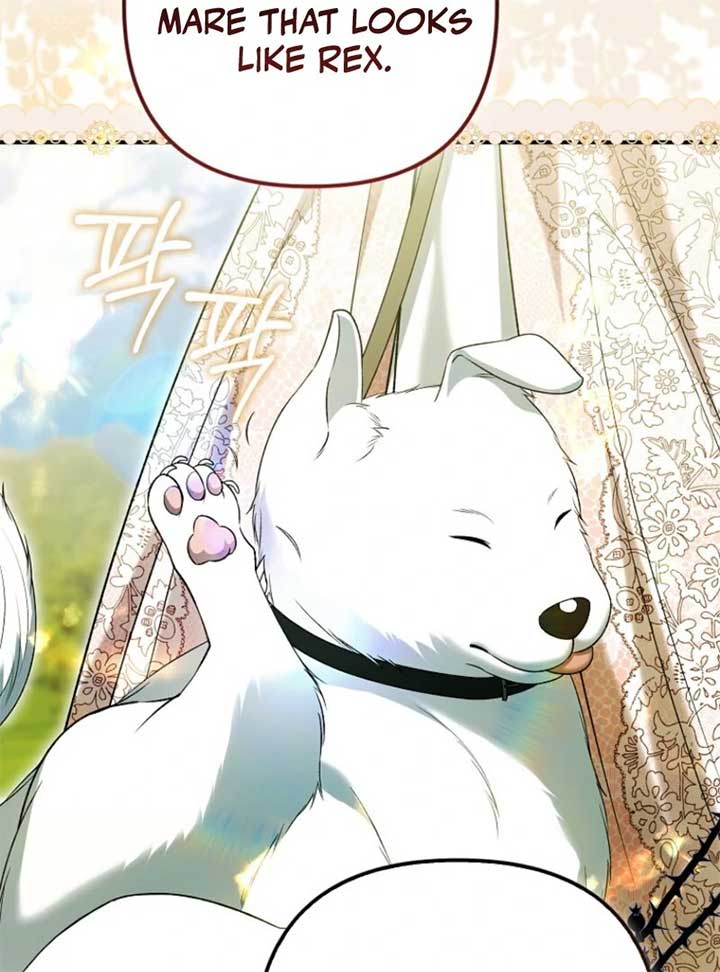 Rejecting The Perfect Marriage Chapter 34 510 ch 34 77