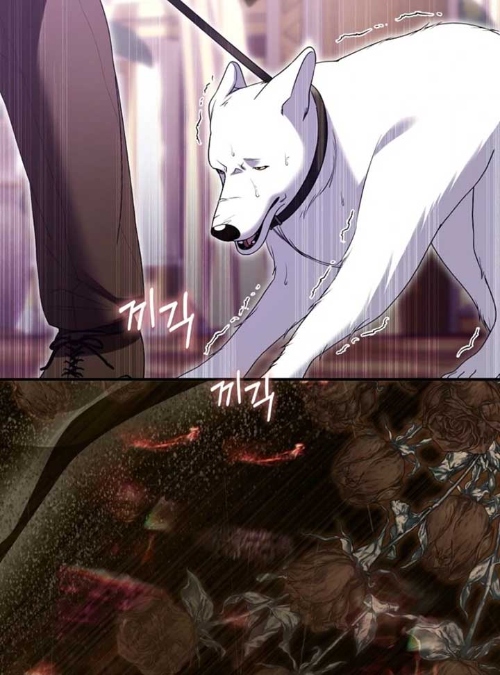 Rejecting The Perfect Marriage Chapter 36 442 ch 36 27