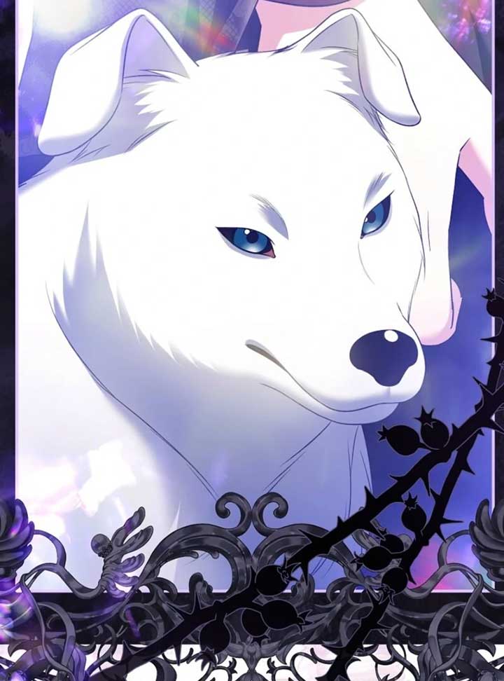 Rejecting The Perfect Marriage Chapter 36 471 ch 36 56