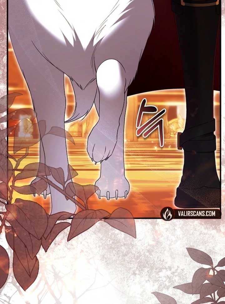 Rejecting The Perfect Marriage Chapter 36 484 ch 36 69