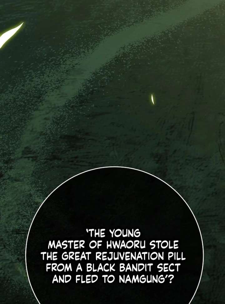 Return of the Namgung Clan’s Granddaughter Chapter 37 338 76