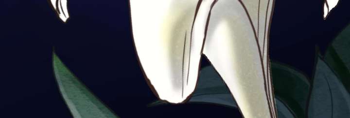 Reverend Insanity (2025) Chapter 10 996 143