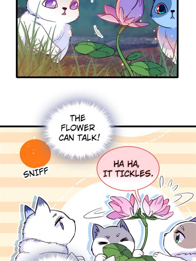 Romance in the Beast World Chapter 234 98 16