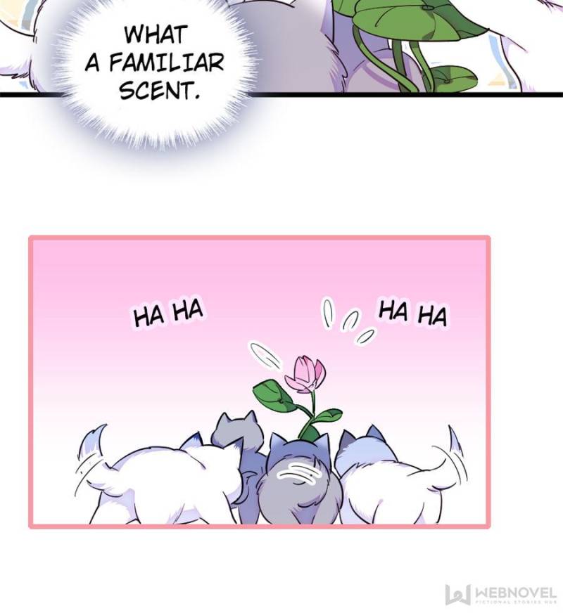 Romance in the Beast World Chapter 234 99 17