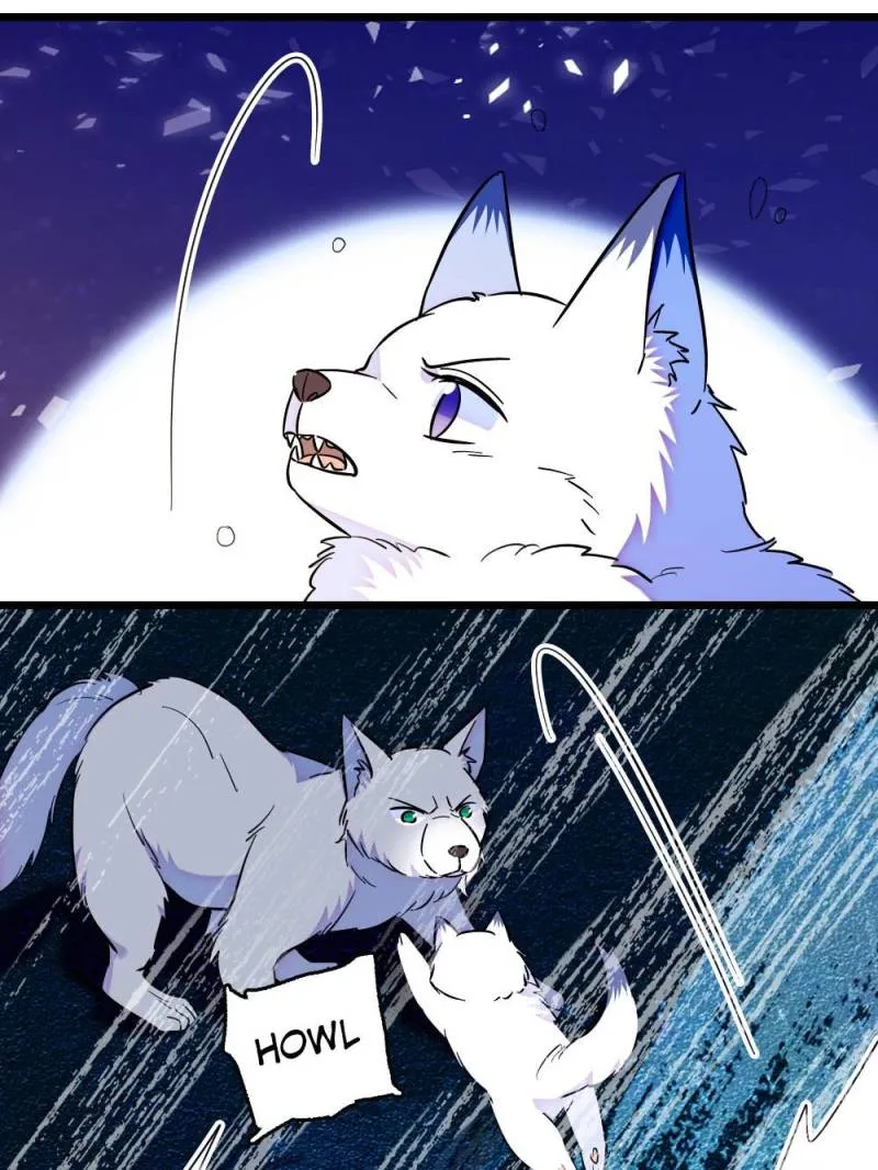 Romance in the Beast World Chapter 359 95 ch 359 10