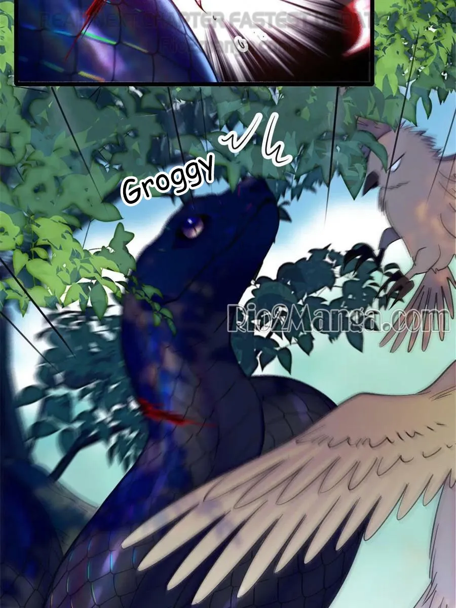 Romance in the Beast World Chapter 82 185 07
