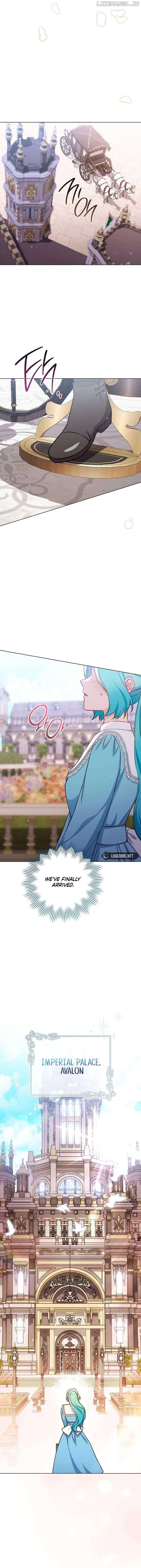 Royal Shop Of Young Lady Chapter 166 74 ch 166 16