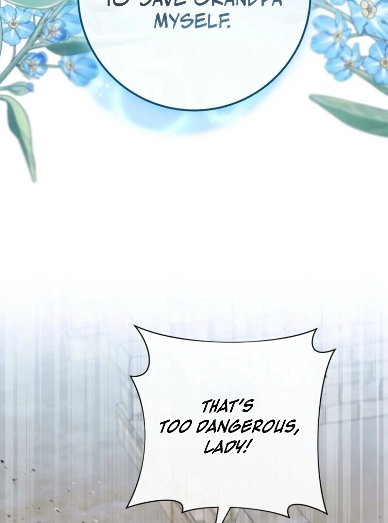 Royal Shop Of Young Lady Chapter 179 473 040