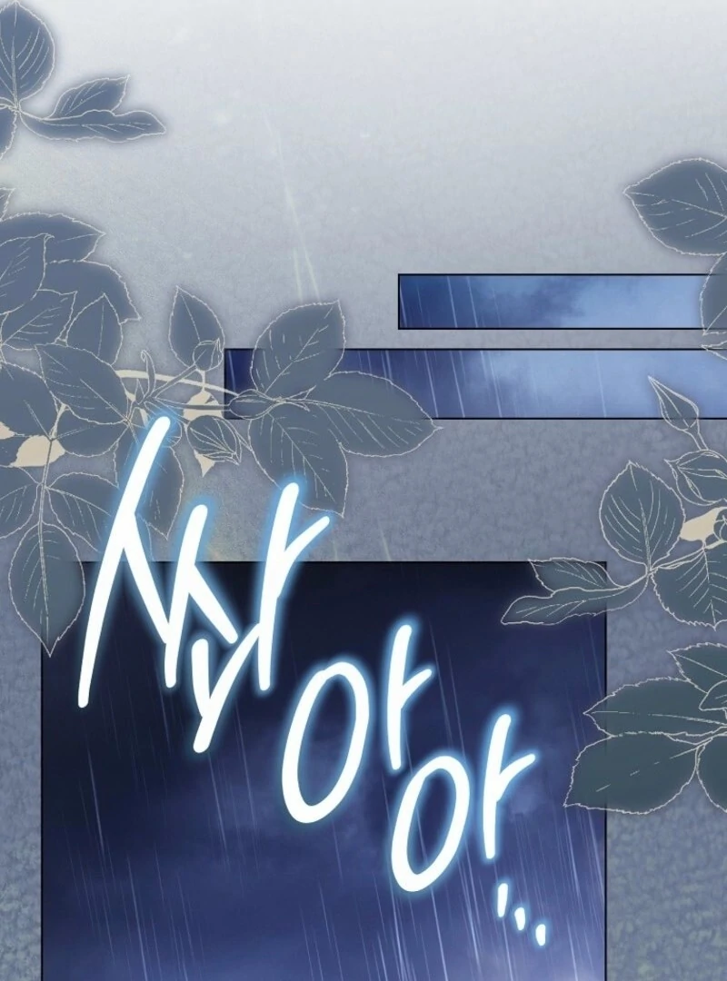 Royal Shop Of Young Lady Chapter 184 487 096