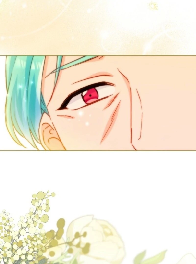 Royal Shop Of Young Lady Chapter 184 512 121