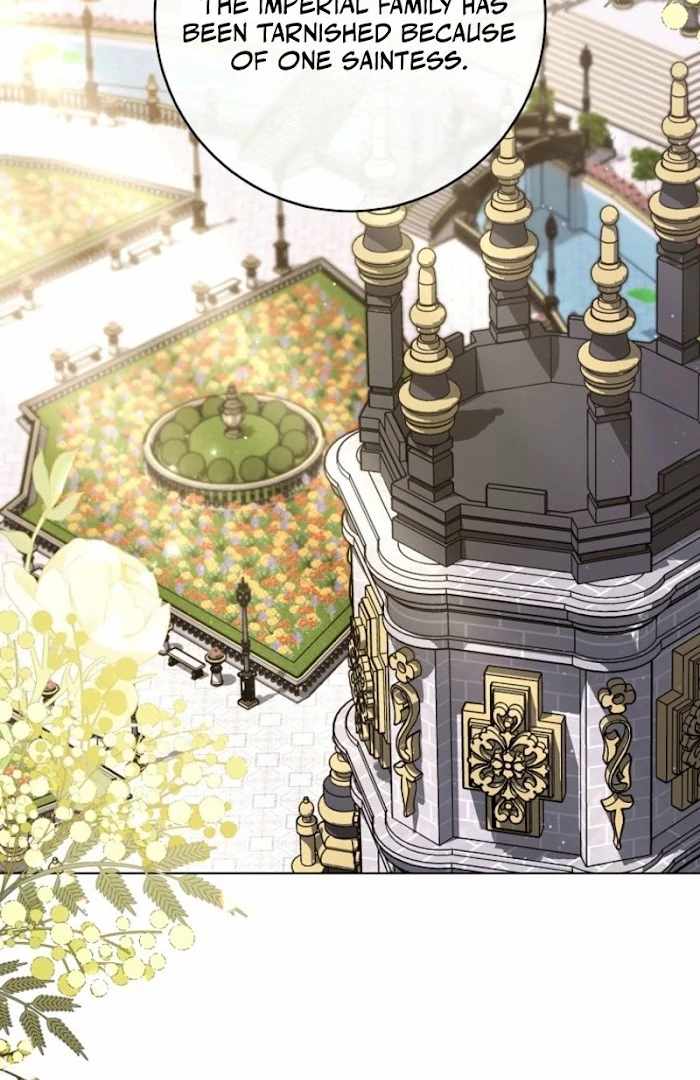 Royal Shop Of Young Lady Chapter 187 421 051