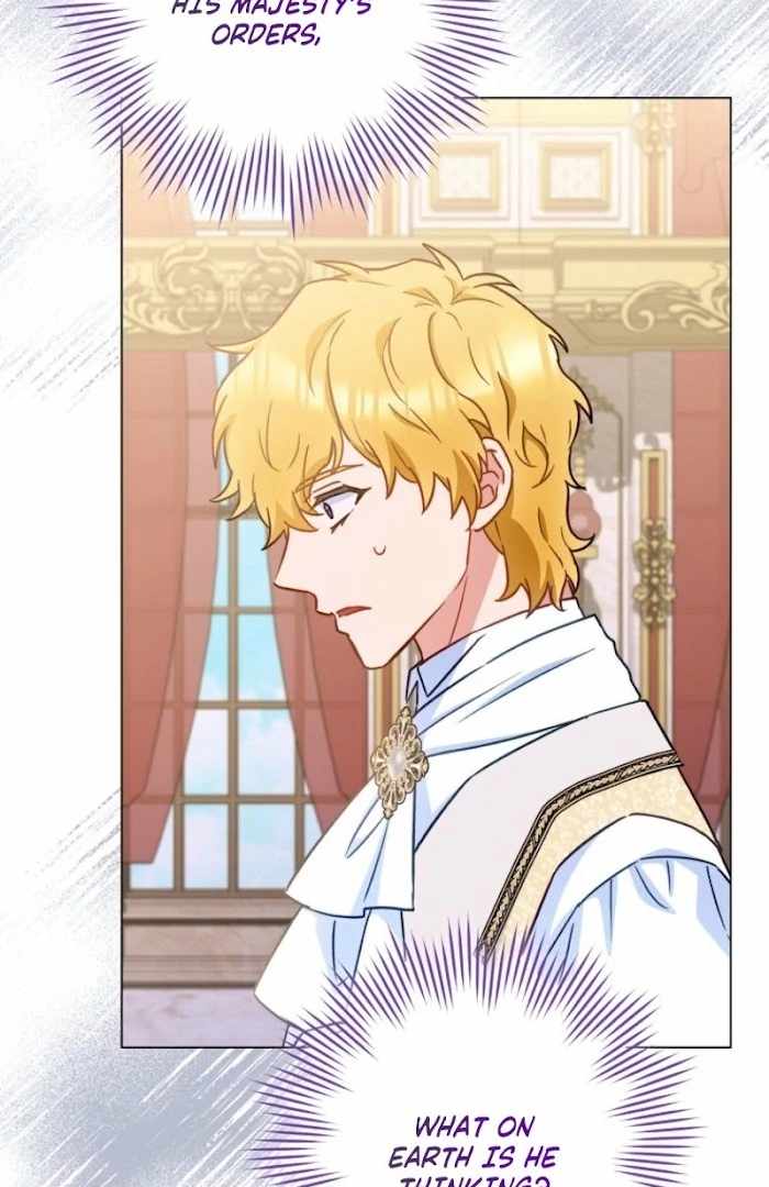 Royal Shop Of Young Lady Chapter 187 487 117