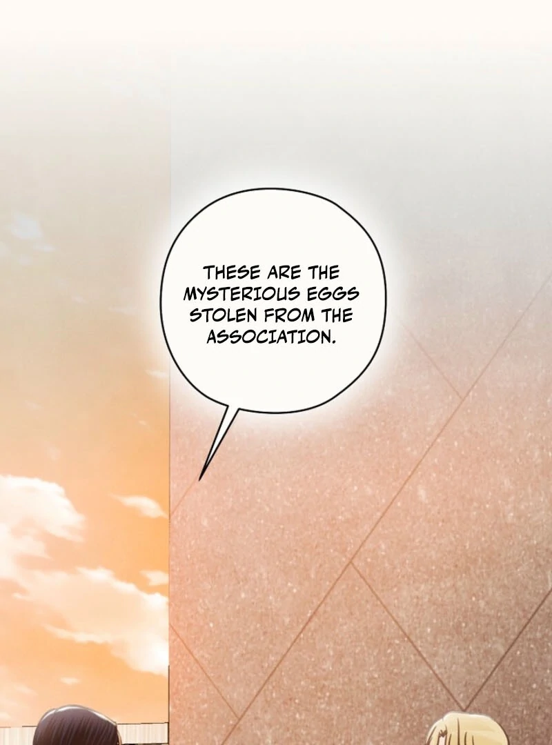 S-Class Spirit Master’s Taming Diary Chapter 44 385 006