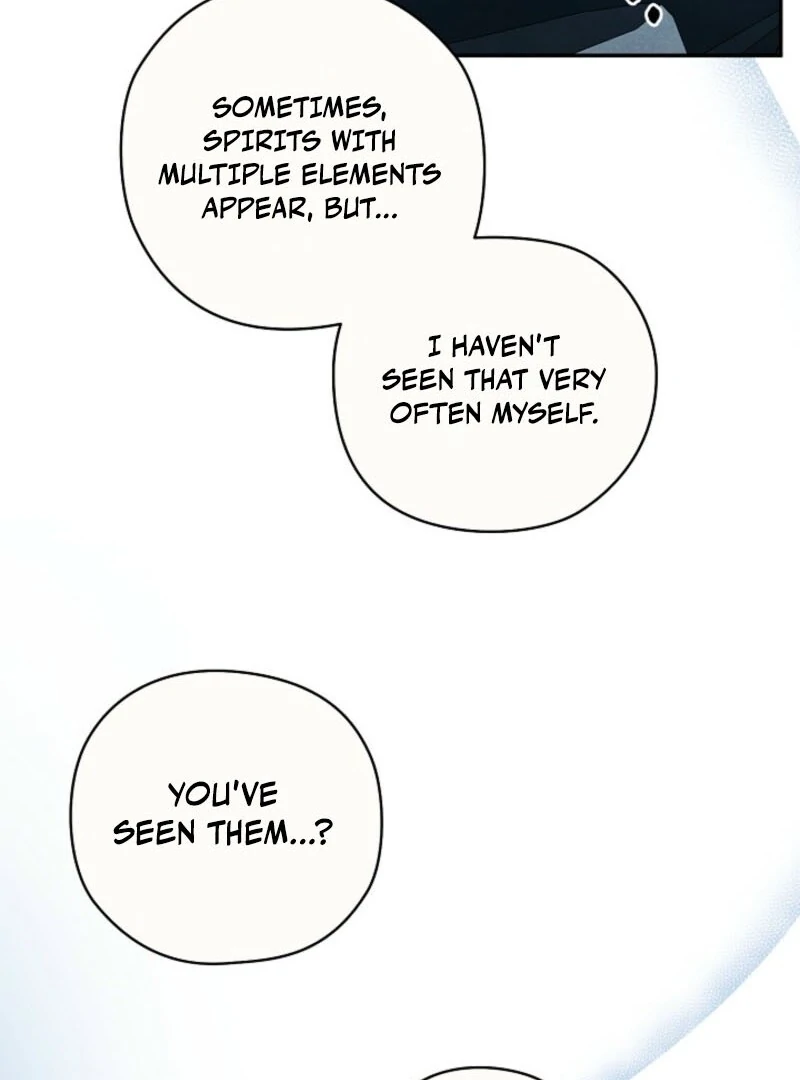 S-Class Spirit Master’s Taming Diary Chapter 46 426 071