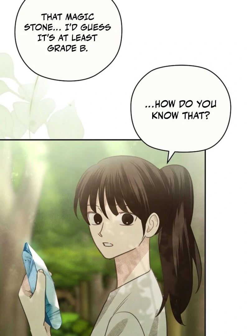 S-Class Spirit Master’s Taming Diary Chapter 48 376 018