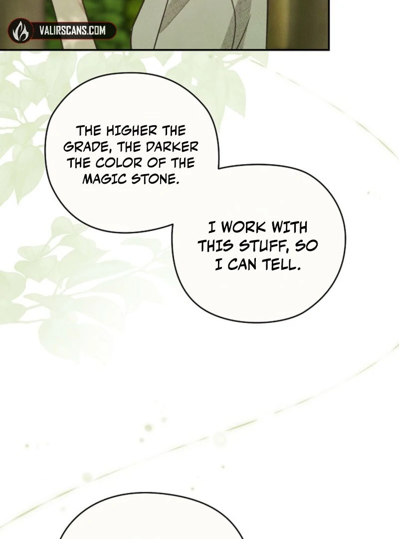 S-Class Spirit Master’s Taming Diary Chapter 48 377 019