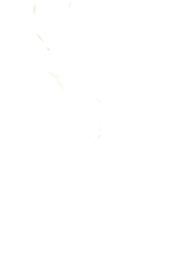 S-Class Spirit Master’s Taming Diary Chapter 48 383 025