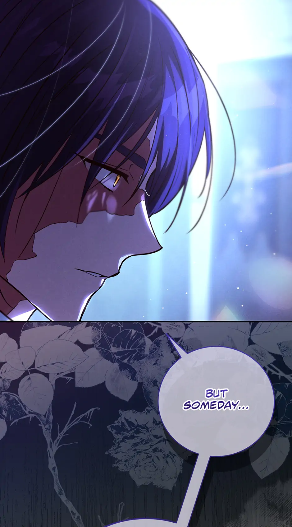 Since I Don’t Remember Anything About It, Shall We Break Up, Your Majesty? Chapter 39 279 44