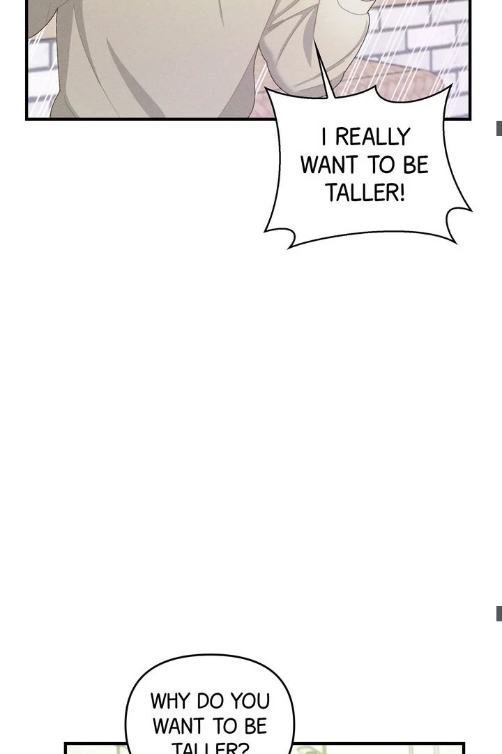 Sorang’s Flower Art Shop Chapter 14 266 19