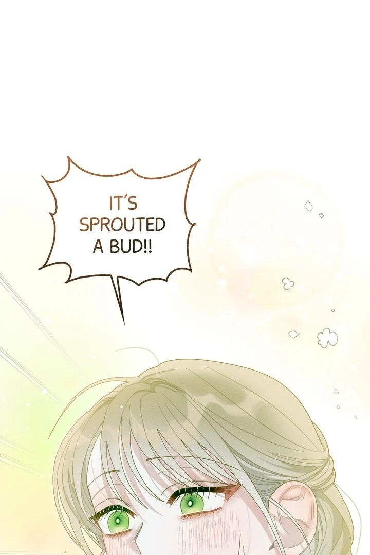 Sorang’s Flower Art Shop Chapter 15 233 07