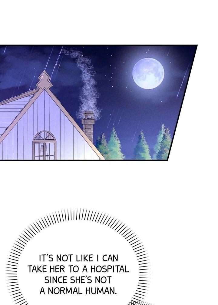 Sorang’s Flower Art Shop Chapter 19 302 61