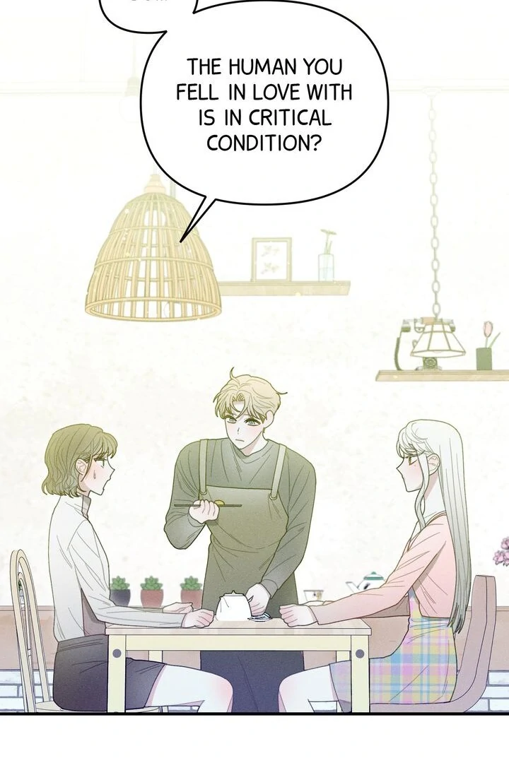 Sorang’s Flower Art Shop Chapter 24 296 13