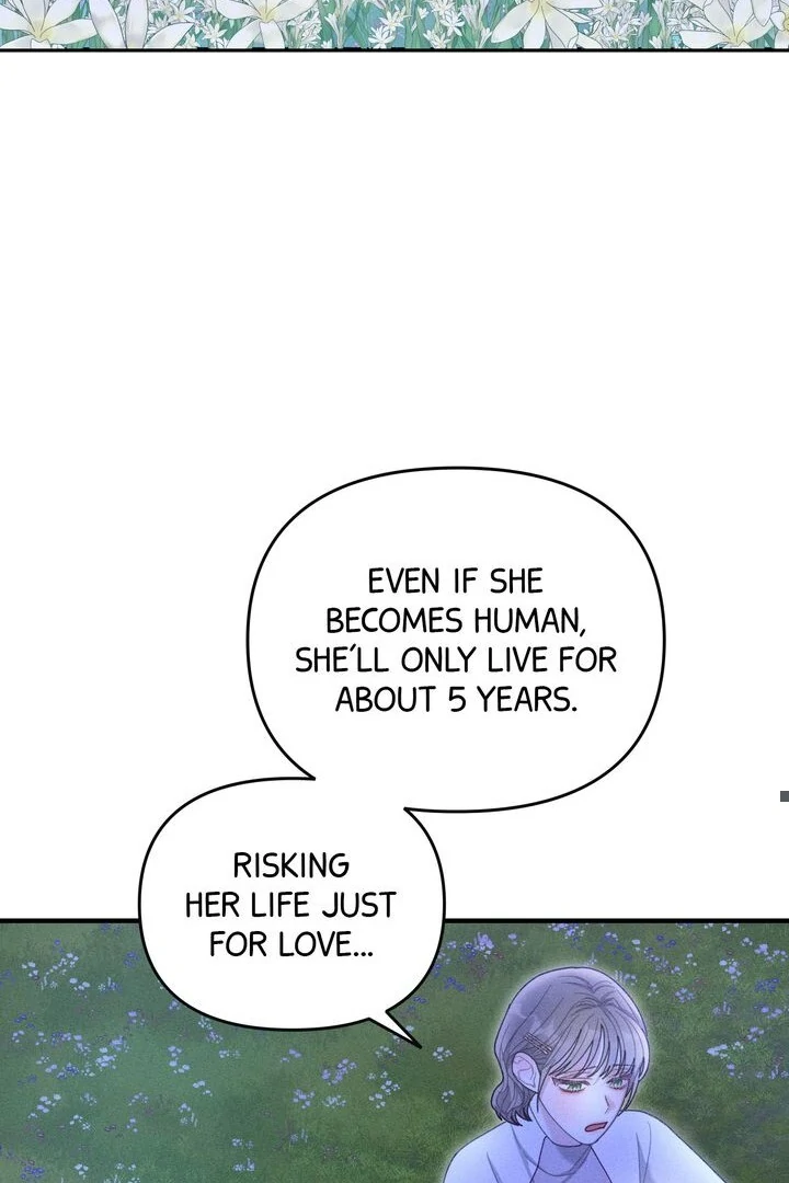 Sorang’s Flower Art Shop Chapter 24 345 62