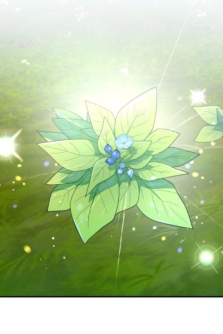 Sorang’s Flower Art Shop Chapter 25 347 79