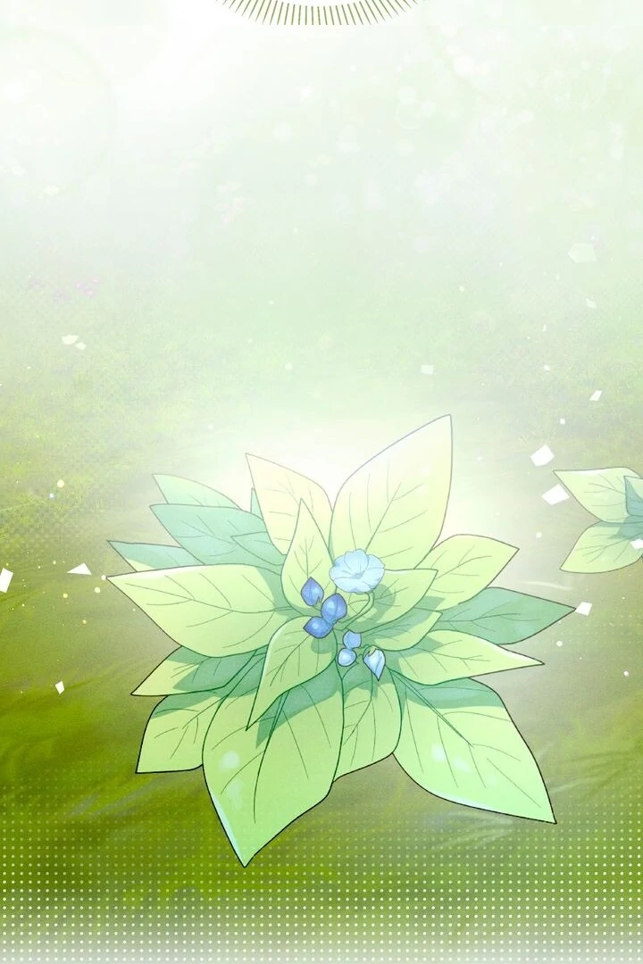 Sorang’s Flower Art Shop Chapter 25 353 85