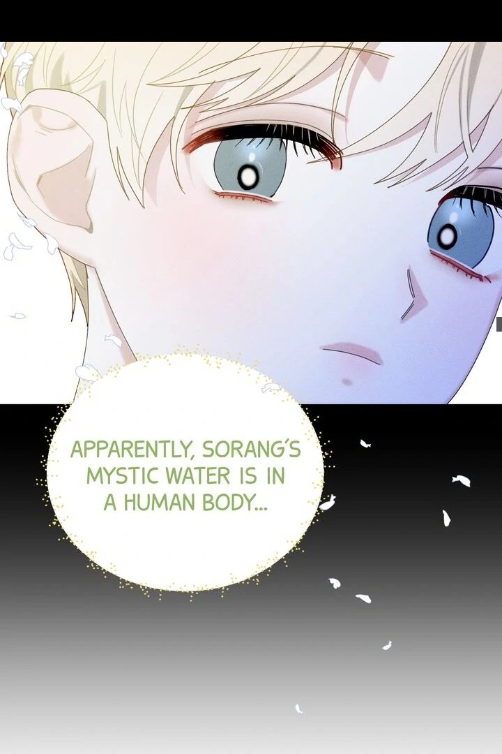Sorang’s Flower Art Shop Chapter 6 278 34