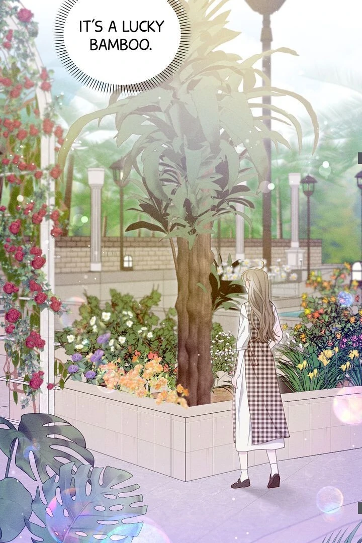 Sorang’s Flower Art Shop Chapter 8 286 48