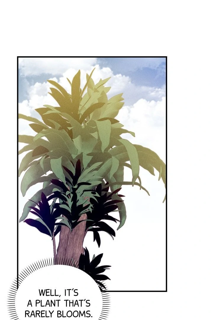 Sorang’s Flower Art Shop Chapter 8 289 51